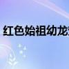 紅色始祖幼龍寵物怎么獲得（紅色始祖幼龍）
