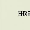 甘孜日報社社長（甘孜日報）
