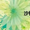 沙特王儲(chǔ)會(huì)見(jiàn)伊朗外長(zhǎng)
