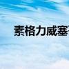 素格力威塞哥個人資料（素格力威塞哥）
