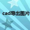 cad導(dǎo)出圖片很模糊（cad導(dǎo)出圖片不清晰）