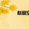 趙綴空的心靈之光（趙綴空）