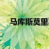 馬庫斯莫里斯生涯薪資（馬庫斯莫里斯）