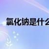 氯化鈉是什么的主要成分（氯化鈉是什么）