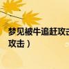 夢(mèng)見被牛追趕攻擊但是躲過去了最后相愛了（夢(mèng)見被牛追趕攻擊）