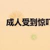 成人受到驚嚇的偏方（大人驚嚇過度偏方）