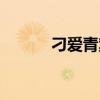 刁愛青案兇手是誰（刁愛青吧）