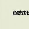 魚鱗痣長什么樣子圖片（魚鱗痣）