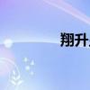 翔升顯卡官網(wǎng)（翔升顯卡）