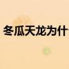冬瓜天龍為什么能開這么久（冬瓜天龍官網(wǎng)）