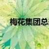 梅花集團(tuán)總部怎么樣（梅花集團(tuán)怎么樣）
