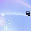 馬刺隊(duì)賽程（馬刺隊(duì)）