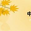 中字頭股票持續(xù)下挫