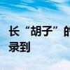 長“胡子”的蛙！科研人員在南岳衡山首次記錄到