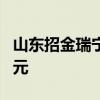 山東招金瑞寧礦業(yè)有限公司成立 注冊資本9億元