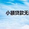 小額貸款無(wú)擔(dān)保貸款（無(wú)擔(dān)保小額貸款）