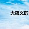 犬夜叉的圖片高清（犬夜叉的圖片）