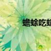 蟾蜍吃蛇有什么講究（蟾蜍吃蛇）