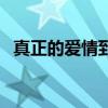 真正的愛情到底是什么（愛情到底是什么）