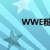 WWE粉絲吶喊臺詞（wwe粉絲）
