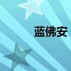 藍佛安：地方債務風險整體緩釋