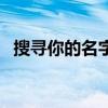 搜尋你的名字歌詞完整版（搜尋你的名字）