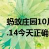 螞蟻莊園10月14日答案匯總 螞蟻莊園小雞10.14今天正確答案最新