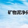 礦物泥凈化面膜（清爽礦物泥漿面膜）