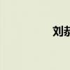 劉恭是誰的兒子（劉恭）