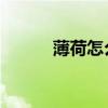 薄荷怎么養(yǎng) 盆栽（薄荷怎么養(yǎng)）
