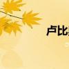 盧比奧年輕照片（盧比奧）