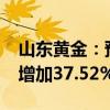 山東黃金：預(yù)計(jì)2024年前三季度凈利潤(rùn)同比增加37.52%到67.26%