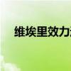 維埃里效力過哪些俱樂部球隊（維埃里）