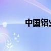 中國鋁業(yè)旗下稀土公司經營異常
