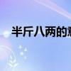 半斤八兩的意思是啥?（半斤八兩的意思）