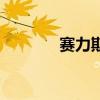 賽力斯武漢問界M9事故聲明