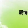 愛情供養(yǎng)小說（愛情供養(yǎng)）