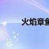 火焰章魚長什么樣子（烈火章魚）