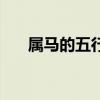 屬馬的五行缺水怎樣取名（怎樣取名）