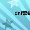 dnf蜜蜂寵物（dnf蜂蜜怎么得）