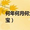 何年何月何大寶 何潔有兩面（何年何月何大寶）