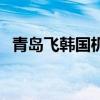 青島飛韓國機(jī)票多少錢（上海到韓國機(jī)票）