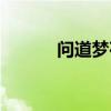 問道夢荷怎么獲得（問道夢荷）