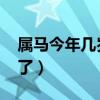 屬馬今年幾歲了2024年多大（屬馬今年幾歲了）
