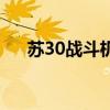 蘇30戰(zhàn)斗機(jī)模型多少錢（蘇30戰(zhàn)斗機(jī)）