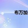 布萬加最快通關時間（布萬加）