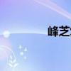 峰芝復(fù)合最新消息（峰芝）
