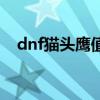 dnf貓頭鷹值得買嗎（dnf貓頭鷹怎么用）