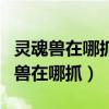 靈魂獸在哪抓?刷新的具體坐標是多少?（靈魂獸在哪抓）