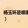 楊玉環(huán)是哪里人更有說服力（楊玉環(huán)是哪里人）